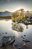 Evening light at Lochan na h-Achlaise, Rannoch Moor, Argyll and Bute, Scotland, UK