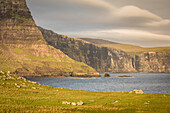 Waterstein Head with Moonen Bay at Neist Cliff, Isle of Skye, Highlands, Scotland, UK