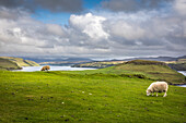 Gesto Bay Viewpoint, Brascadale, Isle of Skye, Highlands, Scotland, UK