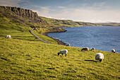 Bay on the north west coast of the Trotternish Peninsula, Isle of Skye, Highlands, Scotland, UK