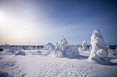 Winter landscape in Salla, Finland