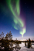 Northern lights in Salla, Lapland, Finland