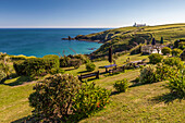Blick auf die Küste, Hotelgarten Housel Bay, Lizard Peninsula, Cornwall, England