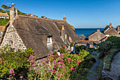 Old houses in the fishing village of Cagdwith, Lizard Peninsula, Cornwall, England