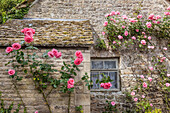 Old cottage with climbing roses in Bibury, Cotswolds, Gloucestershire, England