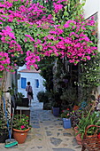 Impression in an alley of Skopelos town, Skopelos island, Northern Sporades, Greece