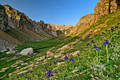 Blühende Iris mit Talboden Circo de Olibon, Pyrenäen, Aragon, Spanien