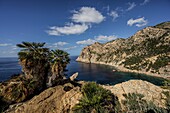 Küste Cala en Basset bei Sant Elm, Region Serra Tramuntana, Mallorca, Spanien