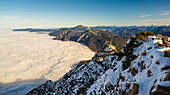Der Herzogstand über den Wolken, Blick auf die östliche Bergwelt, Alpen, Oberbayern, Bayern, Deutschland