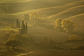 Morgennebel im Herbst in der Nähe von San San Quirico d'Orcia, Toskana, Italien, Europa