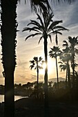 bei Sonnenuntergang am Strand bei Puerto Banus bei Marbella, Costa del Sol, Andalusien, Spanien