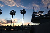 Bar bei Sonnenuntergang an der Hafenpromenade, Malaga, Andalusien, Spanien