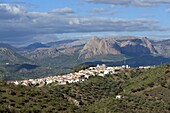 bei Colmenar am Parque Natural Montes de Malaga, Andalusien, Spanien