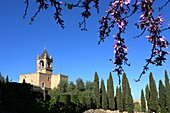 Kirche auf der Burg von Antequera, Andalusien, Spanien