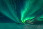 Polarlichter über einer weiten schneebedeckten Ebene auf Island, Island.