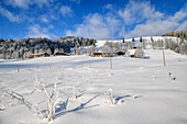 Bauernhäuser der Hohen Asten, Hohe Asten, Bayerische Alpen, Oberbayern, Bayern, Deutschland