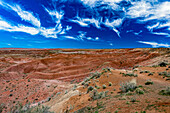 Views of the Painted Desert in Petrified Forest National Park