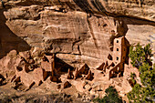 Ancient cliff dwellings of the ancestral pueblos in the Mesa Verde National Park.