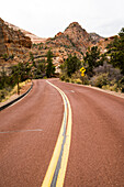 A road crossing the landscape of the Zion National Park in Utah, USA.