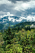 Gewitterwolken ziehen über den Schwarzwald, Mummelsee, Hornisgrinde, Schwarzwald, Baden-Württemberg, Deutschland