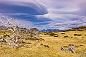Spektakuläre Lenticularis Wolken über der steppenartigen Landschaft im Torres del Paine Nationalpark, Chile, Patagonien, Südamerika