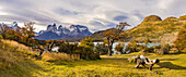 Autumn panorama with the prominent horns of the Torres del Paine massif at Lake Pehoe, Chile, Patagonia, South America