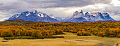 Breathtaking panorama of an autumn southern beech forest in front of the cloud covered mountains of the Torres del Paine massif, Chile, Patagonia