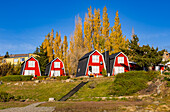 Malerische rote Häuser im Stadtbild von El Calafate mit herbstlichen Bäumen und Farben bei Sonne, Argentinien, Patagonien