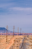 Utility poles in the Arizona desert.