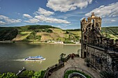 View from Rheinstein Castle on an excursion boat on the Rhine and the vineyards near Assmannshausen, Upper Middle Rhine Valley, Rhineland-Palatinate, Germany