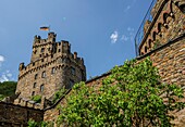 Sooneck Castle, view of the main castle with the German flag waving, Niederheimbach, Upper Middle Rhine Valley, Rhineland-Palatinate, Germany