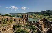 Burg  Sooneck, Blick über die Zinnen der Schildmauer in das Rheintal bei Lorch, Oberes Mittelrheintal, Rheinland-Pfalz, Deutschland