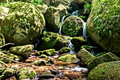 Gertelbach-Wasserfälle im Wald, Bühlertal, Schwarzwald, Baden-Württemberg, Deutschland