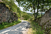 Wanderweg zum Lautenfelsen, Gernsbach, Schwarzwald, Baden-Württemberg, Deutschland