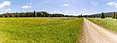 Meadow landscape near Prášily in the Šumava National Park in the Bohemian Forest in the Czech Republic