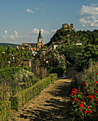 View from the city wall garden to the Church of Our Lady and the Schönburg, Oberwesel, Upper Middle Rhine Valley, Rhineland-Palatinate, Germany