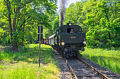 The Kuckucksbähnel museum railway near Breitenstein, Palatinate Forest Rhineland-Palatinate Germany
