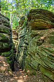 Rocks of the Green Hell near Bollendorf an der Sauer, Sauertal, Bollendorf, Eifel, Rhineland-Palatinate, Germany