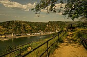 Aussichtspunkt Wackenberg am Rhein-Burgenweg, Ausblick auf St. Goarshausen und Burg Katz, Oberes Mittelrheintal, Rheinland-Pfalz, Deutschland