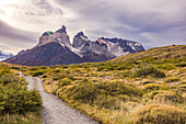 Einsamer Wanderweg vor den markanten Bergen des Torres del Paine Nationalparks im Süden von Chile, Patagonien, Südamerika