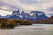 Die Hörner genannten Berggipfel am Torres del Paine Bergmassiv mit herbstlichem Farben am Lago Pehoe, Chile, Patagonien, Südamerika