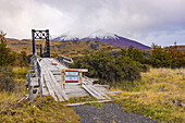 The old decommissioned wooden bridge Puente Laguna Amarga over the Rio Paine, Torres del Paine National Park, Chile, Patagonia