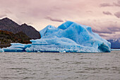 A prominent iceberg in Lago Gray against a cloudy sky in the evening light, Chile, Patagonia