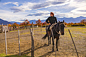 Ein Gaucho Cowboy zu Pferd vor farbigen Bäumen im Herbst auf einer Ranch in Argentinien, Patagonien, Südamerika