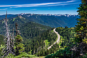 Ausblicke entlang des Hurricane Ridge Trail, Olympic National Park, Washington, USA