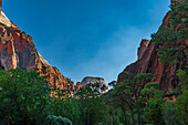 Hohe Felswände in enger Schlucht, Canyon am Virgin River im Zion-Nationalpark, Utah, USA