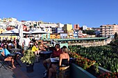 Cafe mit Ausblick auf Bananenfeld in Tazacorte, Westküste, La Palma, Kanarische Inseln, Spanien