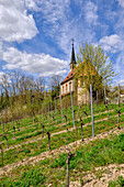 Maria-Schmerz-Kapelle in the wine-growing town of Randersacker am Main near Würzburg, Würzburg district, Unterfanken, Bavaria, Germany