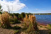 Zwenkauer See der größte See im Leipziger Neuseenland, Stadt Zwenkau, Landkreis Leipzig, Sachsen, Deutschland