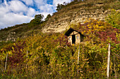 Mainprallhang unterhalb der Weinberge von Stetten und das Maintal zwischen Himmelstadt am Main und Karlstadt am Main, Landkreis Main-Spessart, Unterfranken, Bayern, Deutschland